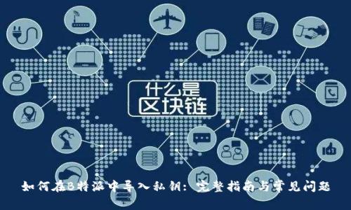 如何在B特派中导入私钥: 完整指南与常见问题
