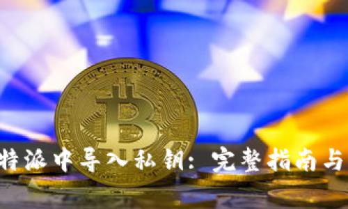 如何在B特派中导入私钥: 完整指南与常见问题