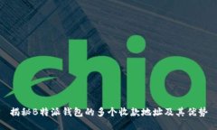 揭秘B特派钱包的多个收款地址及其优势