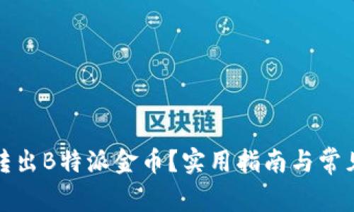 如何有效转出B特派金币？实用指南与常见问题解答