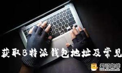 如何有效获取B特派钱包地址及常见问题解析