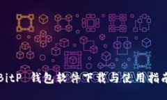BitP 钱包软件下载与使用指