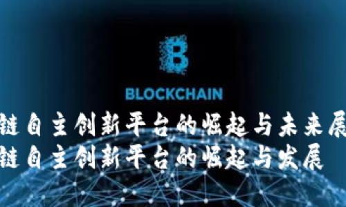 区块链自主创新平台的崛起与未来展望  
区块链自主创新平台的崛起与发展