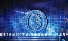 深入探索B特派BSC节点：构