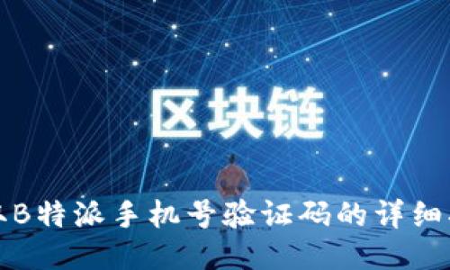 获取B特派手机号验证码的详细指南