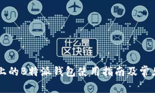 苹果手机上的B特派钱包使用指南及常见问题解析