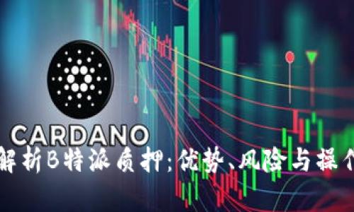 全面解析B特派质押：优势、风险与操作指南