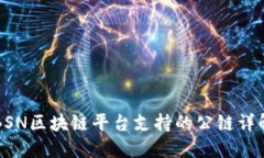BSN区块链平台支持的公链详解