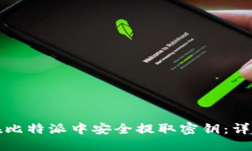 如何在比特派中安全提取密钥：详细指南