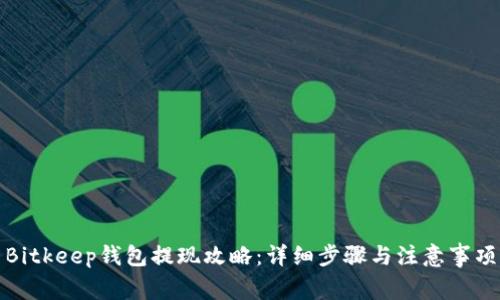 Bitkeep钱包提现攻略：详细步骤与注意事项