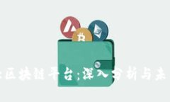 全球第二大区块链平台：深入分析与未来发展趋
