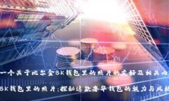以下是一个关于比尔金B
