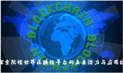: 探索陀螺世界区块链平台的未来潜力与应用场景