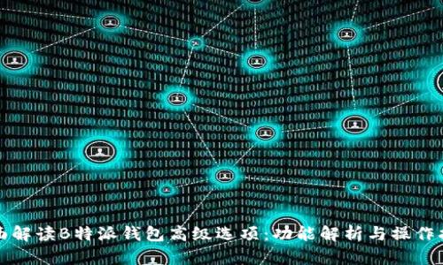 全面解读B特派钱包高级选项：功能解析与操作指南
