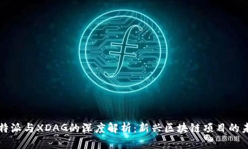 比特派与XDAG的深度解析：新兴区块链项目的未来