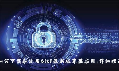 如何下载和使用BitP最新版苹果应用：详细指南