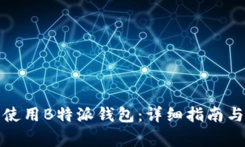 如何在电脑端使用B特派钱包：详细指南与常见问题解答
