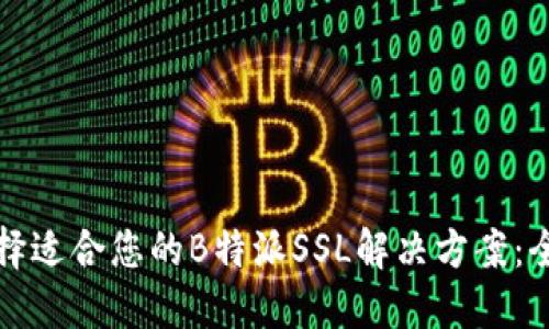如何选择适合您的B特派SSL解决方案：全面指南