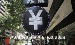 坪山区的区块链平台：机