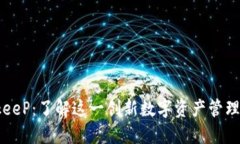 BitkeeP：了解这一创新数字