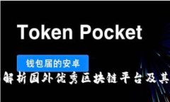 全面解析国外优秀区块链平台及其应用