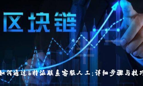 如何通过b特派联系客服人工：详细步骤与技巧