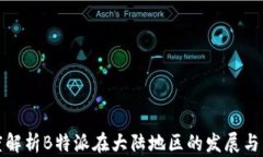 深度解析B特派在大陆地区