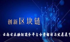 : 云南省区块链商务平台全景解析与发展展望