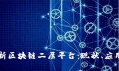 全面解析区块链二层平台：现状、应用及未来