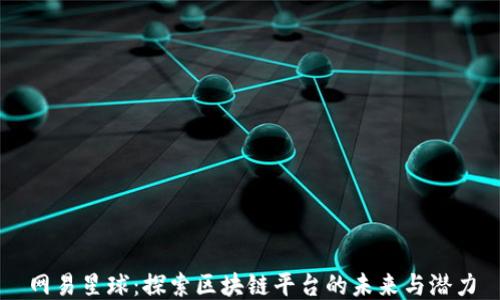 
网易星球：探索区块链平台的未来与潜力