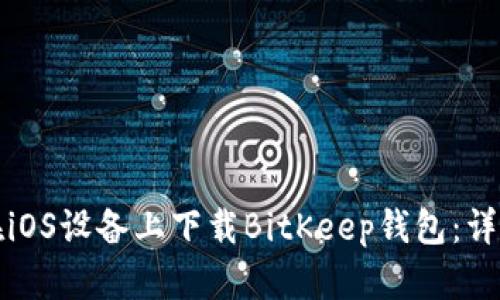 如何在iOS设备上下载BitKeep钱包：详细指导