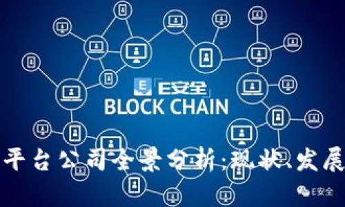 美国区块链平台公司全景分析：现状、发展与未来趋势