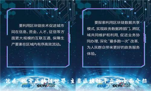 优质 探索区块链世界：主要区块链平台的全面介绍