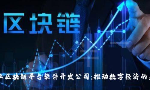 专业区块链平台软件开发公司：推动数字经济的未来