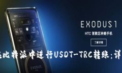 如何在比特派中进行USDT