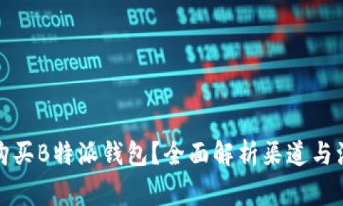 在哪里购买B特派钱包？全面解析渠道与注意事项