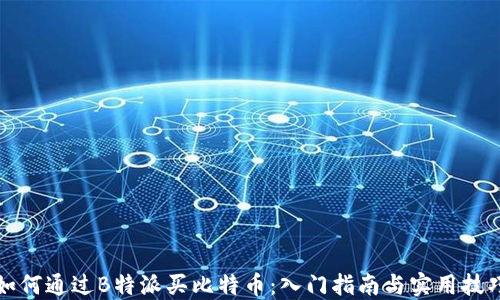 
如何通过B特派买比特币：入门指南与实用技巧
