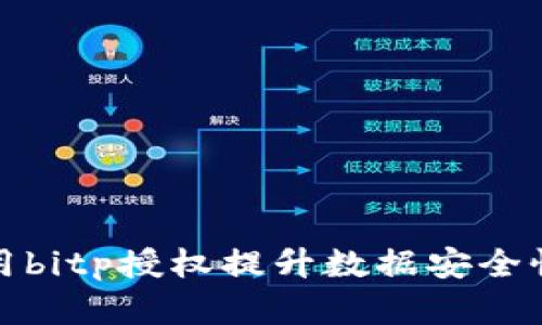 如何有效使用bitp授权提升数据安全性与管理效率