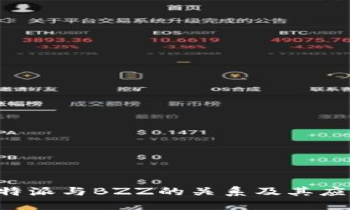 理解B特派与BZZ的关系及其应用场景