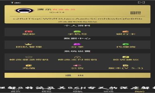 理解B特派及其BCH分叉的深度解析