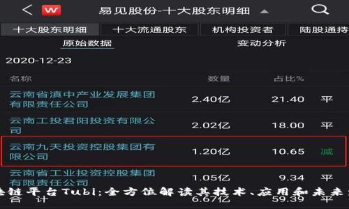 区块链平台Tubi：全方位解读其技术、应用和未来发展