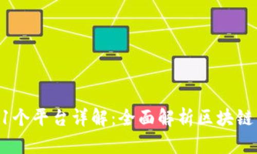 区块链41个平台详解：全面解析区块链生态系统