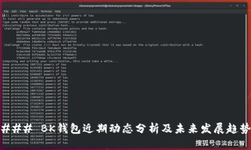 ### BK钱包近期动态分析及未来发展趋势