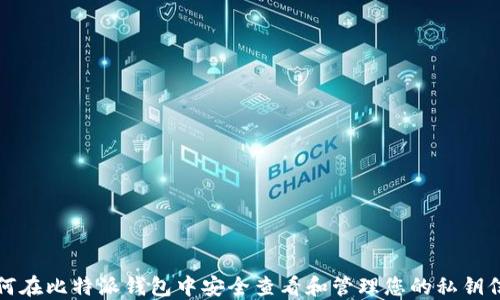 
如何在比特派钱包中安全查看和管理您的私钥信息