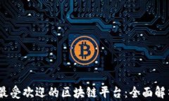 2023年最受欢迎的区块链平