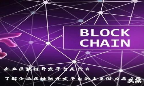 企业区块链开发平台是什么

了解企业区块链开发平台的未来潜力与应用