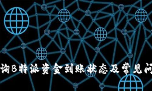 如何查询B特派资金到账状态及常见问题解答
