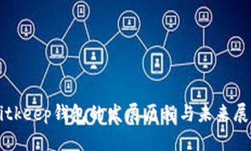 Bitkeep钱包的发展历程与未来展望