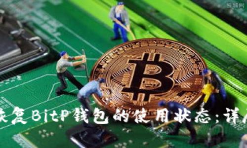 如何恢复BitP钱包的使用状态：详尽指南