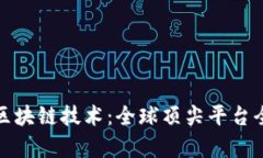 探索区块链技术：全球顶